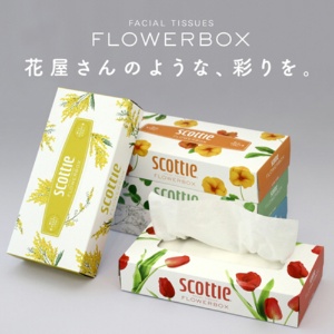 日本製紙クレシア　スコッティティシューフラワー　１６０組／箱　１パック（５箱）4