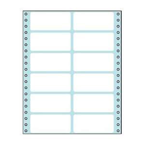 コクヨ　連続伝票用紙（タックフォーム）　横８×縦１０インチ（２０３．２×２５４．０ｍｍ）　１２片　ＥＣＬ－２１５　１パック（５０シート）1