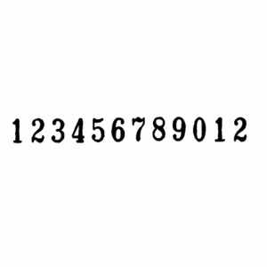 ライオン事務器　ナンバリング　Ａ型　１２桁３様式　Ｅ字体　Ａ－２１　１台2