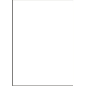 ヒサゴ　マルチプリンタ帳票　複写タイプ　Ａ３　ノーカーボン　白紙　ＢＰＣ３０００　１冊（１００枚）