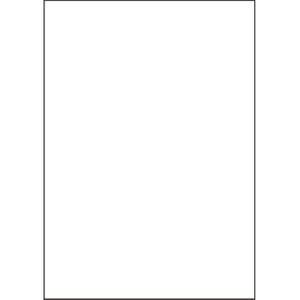ヒサゴ　マルチプリンタ帳票　複写タイプ　Ａ３　ノーカーボン　白紙　ＢＰＣ３０００　１冊（１００枚）1