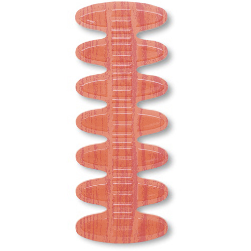 �����g�@��̓|��h�~�V�[���@���̂܂܃s�^�b�Ɓ@�ؖڔ��@�r�O�V�W�|�R�O�U�O�@�P��