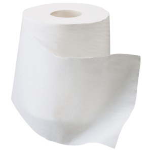 河野製紙　Ｐ・エイドシルク保湿トイレットロール　ダブル　芯あり　３５ｍ　１セット（４０ロール：４ロール×１０パック）2