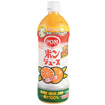 ���Ђ߈����@�o�n�l�@�|���W���[�X�@�P�k�@�y�b�g�{�g���@�P�P�[�X�i�U�{�j