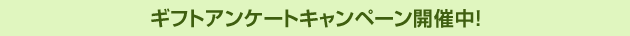ギフトアンケートキャンペーン開催中♪
