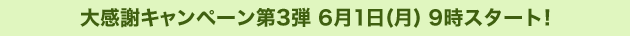 大感謝キャンペーン第3弾 6月1日(月) 9時スタート！