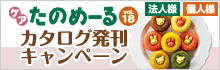 ケアたのめーるvol.18カタログ発刊キャンペーン