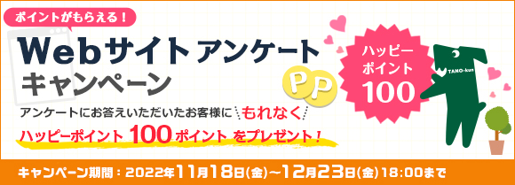 WEBサイトアンケートキャンペーン