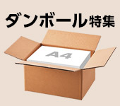 ダンボール特集