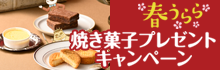 たのめーるVol.53発刊記念 春うらら焼き菓子プレゼントキャンペーン