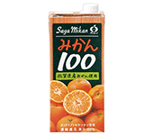 ジェイエイビバレッジ佐賀 みかん100 1L 紙パック(口栓付) 1ケース(6本)