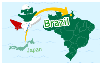日本からブラジルへ