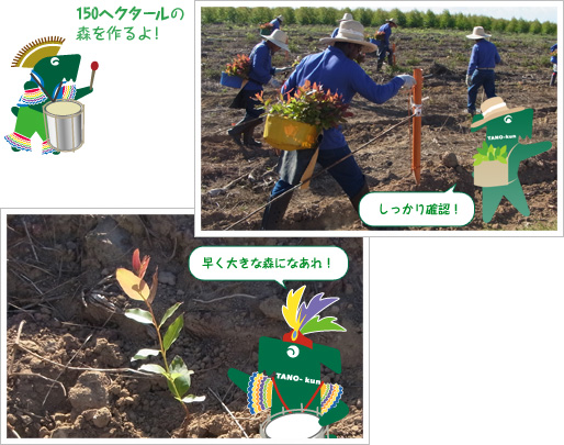 150ヘクタールの 森を作るよ! しっかり確認! 早く大きな森になあれ!