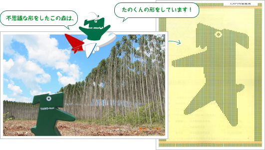 不思議な形をしたこの森は、たのくんの形をしています!