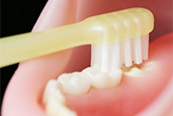 仕上げみがき_2