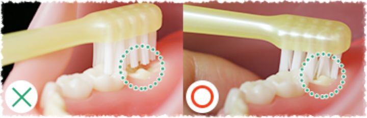 仕上げみがき_4
