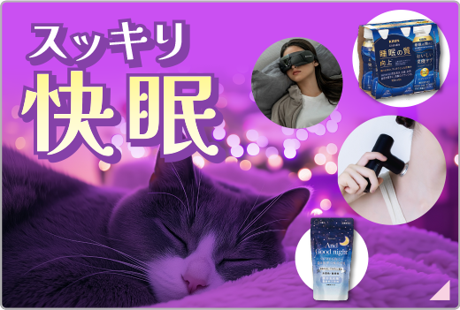 新入社員 ある日の過ごし方