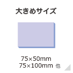 大きめサイズ