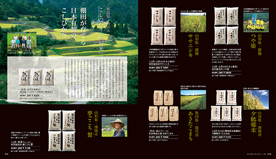 ページ掲載例