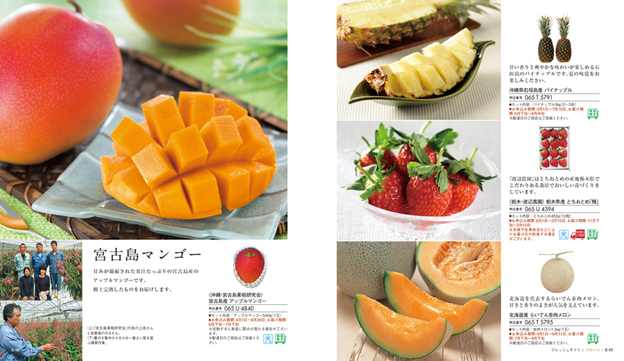 ページ掲載例
