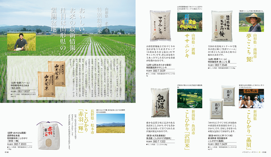 ページ掲載例