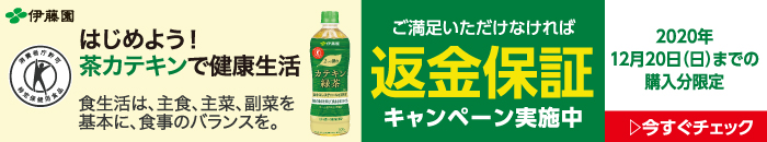12/20まで!全額返金キャンペーン