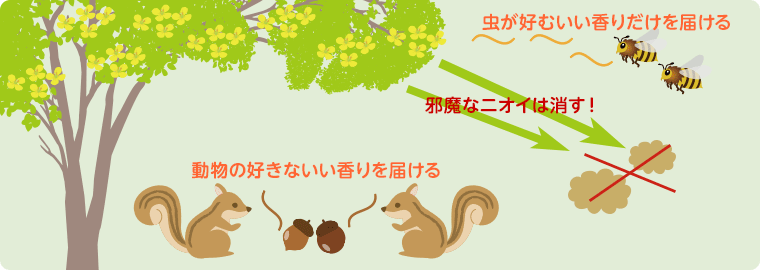 虫が好むいい香りだけを届ける、虫が好むいい香りだけを届ける、動物の好きないい香りを届ける