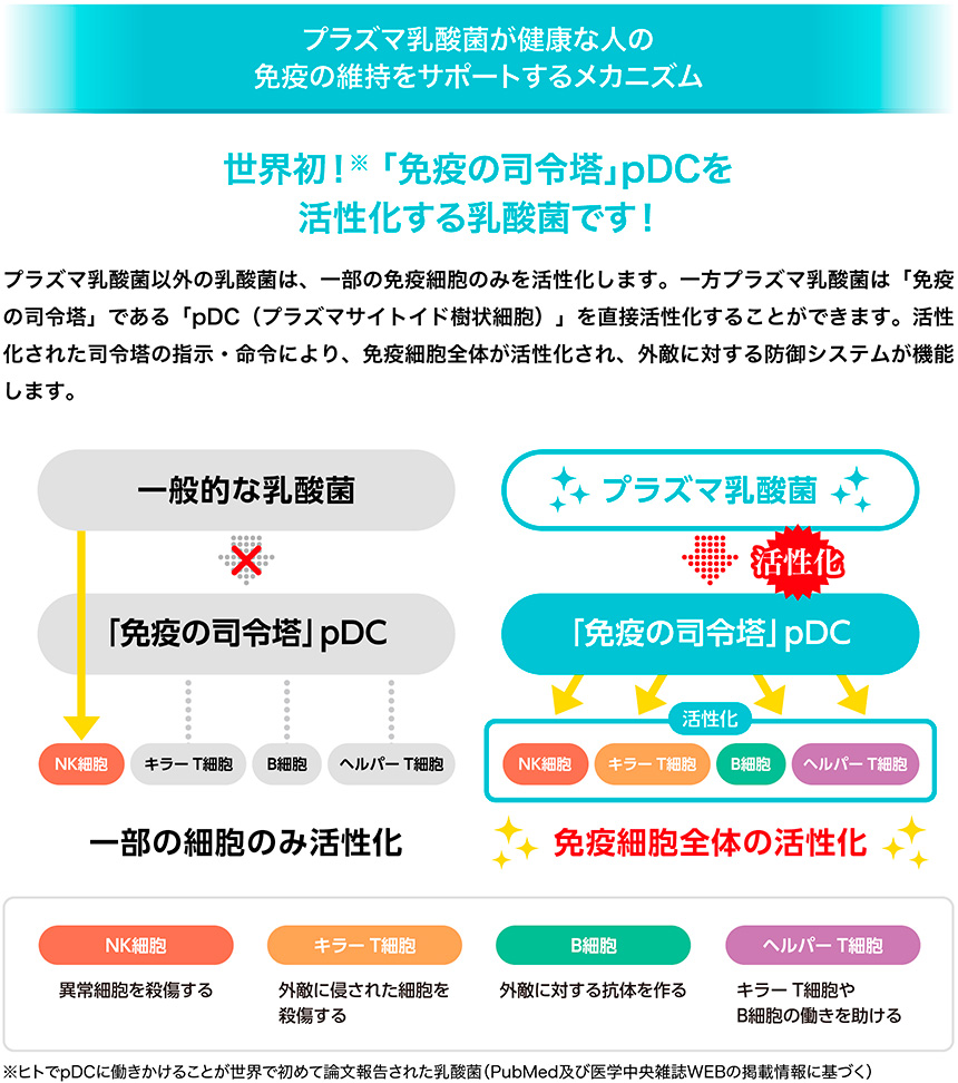 世界初！「免疫の司令塔」pDCを活性化する乳酸菌です！