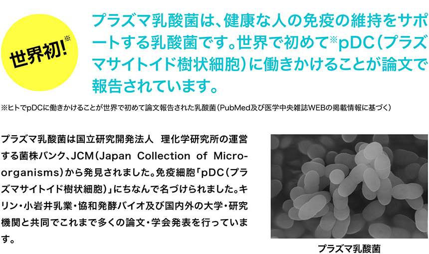 プラズマ乳酸菌は、健康な人の免疫の維持をサポートする乳酸菌です。世界で初めてpDC(プラズマサイトイド樹状細胞)に働きかけることが論文で報告されています。