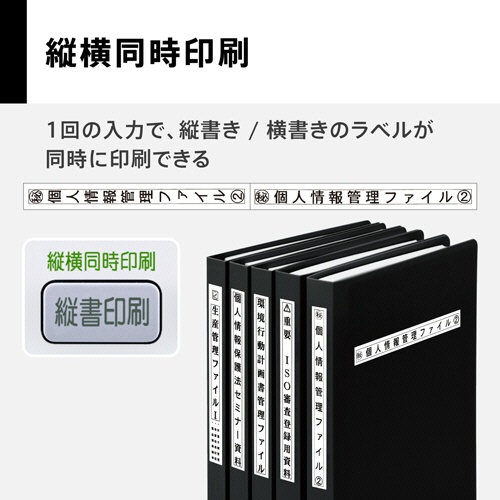 カシオ　ＮＡＭＥ　ＬＡＮＤ　ＫＬ－Ｇ２　１台6