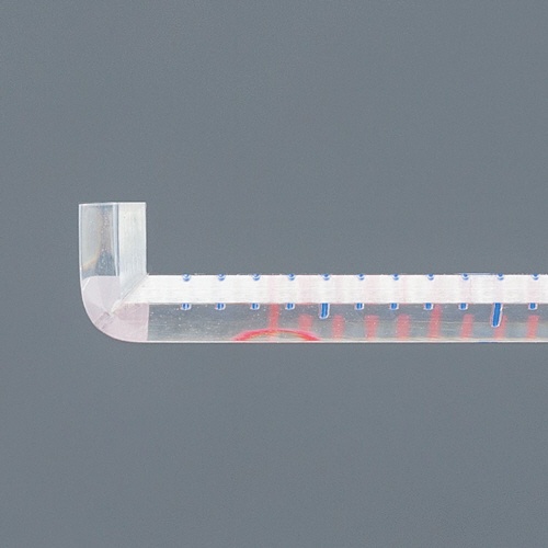 ライオン事務器　ピックアップ定規　３０ｃｍ　Ｌ－１０　１本2