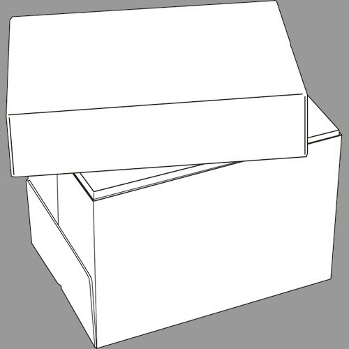 ＴＡＮＯＳＥＥ　ＰＰＣ用紙　Ｐｕｒｅ　Ｗｈｉｔｅ　Ａ４　上フタ付箱　１箱（５０００枚：５００枚×１０冊）2