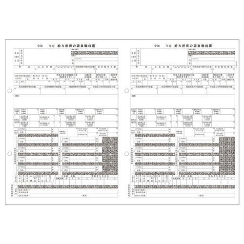 ＰＣＡ　ＰＡ１１３４ＧＡ　電子申告用源泉徴収票（令和６年分）　単票用紙レーザープリンタ用　１００名入　ＰＡ１１３４ＧＡＲ０６　１冊（５０枚）1