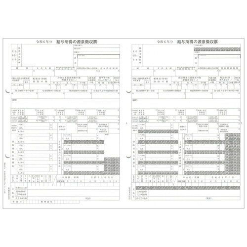 弥生　令和６年分　年末調整セット　（３０人用）　２０２５２０　１セット2