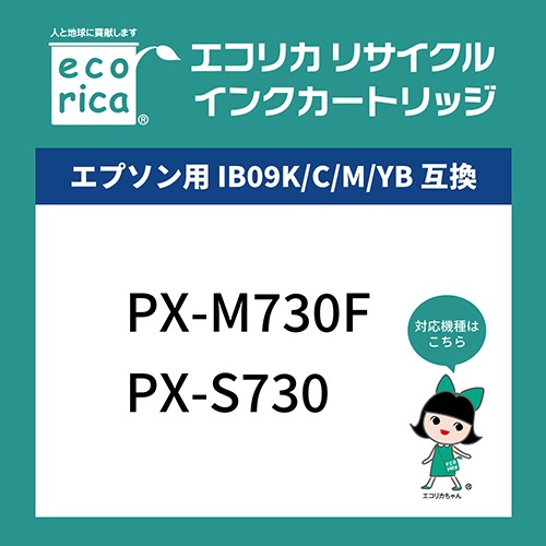 エコリカ　リサイクルインクカートリッジ　ブラック（顔料）　［エプソン：ＩＢ０９ＫＢ／電卓互換］　ＥＣＩ－ＥＩＢ０９Ｂ－Ｂ－２ＰＴ　１箱（２個）2