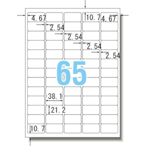 コクヨ　モノクロレーザー＆モノクロコピー用　紙ラベル（スペシャルラベル）　Ａ４　６５面　３８．１×２１．２ｍｍ　ＬＢＰ－７６５１Ｎ　１冊（１０シート）2
