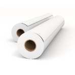 オストリッチダイヤ　カラー用コート紙　５９４ｍｍ×５０ｍ　ＲＪＤ－０４　１箱（２本）