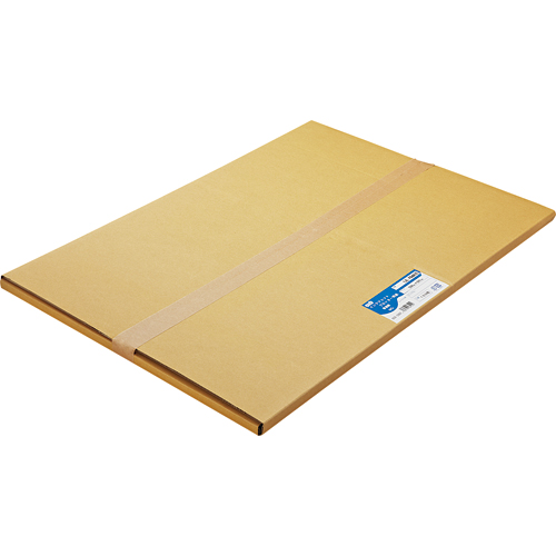(まとめ) TANOSEE 普通紙 A1ロール 594mm×50m 1箱（2本） 〔×5セット〕()
