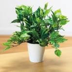 オフィスグリーン　人工植物　グリーンポトス　高さ３００ｍｍ　ＧＷＩＧ－ＯＴ－Ａ５１　１個