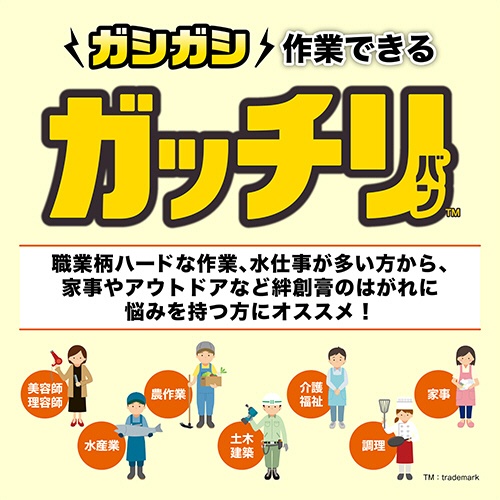 ニチバン　ガッチリバン　Ｌサイズ　ＧＢ１０Ｌ　１箱（１０枚）2