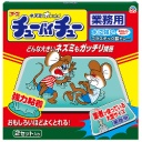 アース製薬　大型チューバイチュー　業務用　１箱（２個）