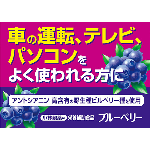 小林製薬 ブルーベリー60日分×5袋 小林製薬 ◇【機能性表示食品】小林製薬 ブルーベリーEX 60粒