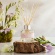 ワックスリリカル　Ｈｏｍｅ　Ｇｒｏｗｎ　リードディフューザー　フリージア　１００ｍｌ　ＷＬＨＧ０３０５　１セット2