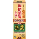 小林製薬　生葉　ひきしめ実感タイプ　１００ｇ　１個