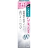 ライオン システマハグキプラスWハミガキ 95g 1個