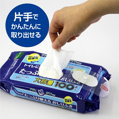 日本製紙クレシア　アクティ　トイレに流せるたっぷり使えるおしりふき　１パック（２００枚：１００枚×２個）4