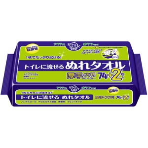 日本製紙クレシア　アクティ　トイレに流せるぬれタオル　１パック（７６枚）1