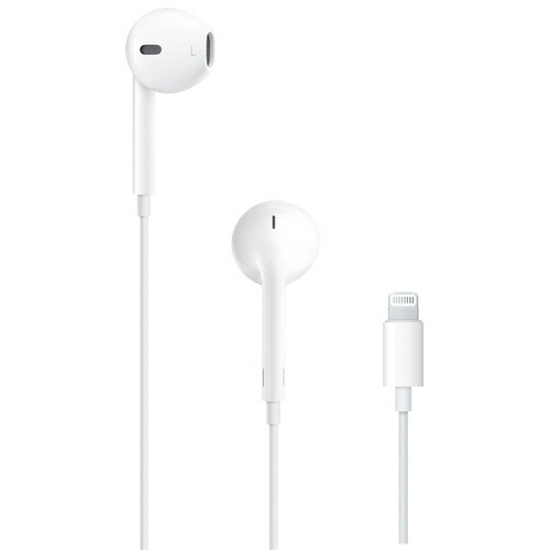 Ａｐｐｌｅ　ＥａｒＰｏｄｓ（Ｌｉｇｈｔｎｉｎｇコネクタ）　ＭＷＴＹ３Ｊ／Ａ　１個1