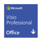 マイクロソフト　Ｖｉｓｉｏ　Ｐｒｏｆｅｓｓｉｏｎａｌ　２０２４　日本語版　ダウンロード版　１本