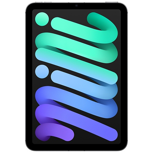 Ａｐｐｌｅ　ｉＰａｄ　ｍｉｎｉ　８．３型　Ｗｉ－Ｆｉ　２５６ＧＢ　スペースグレイ　ＭＸＮＡ３Ｊ／Ａ　１台1